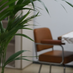 chill area to take breakfast connection with people at nas coworking in las palmas