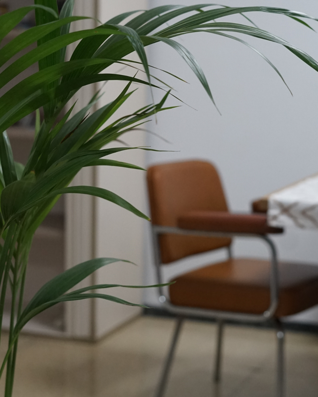 Home chill area to take breakfast connection with people at nas coworking in las palmas