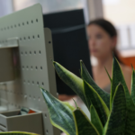 remote worker works at nas coworking las palmas