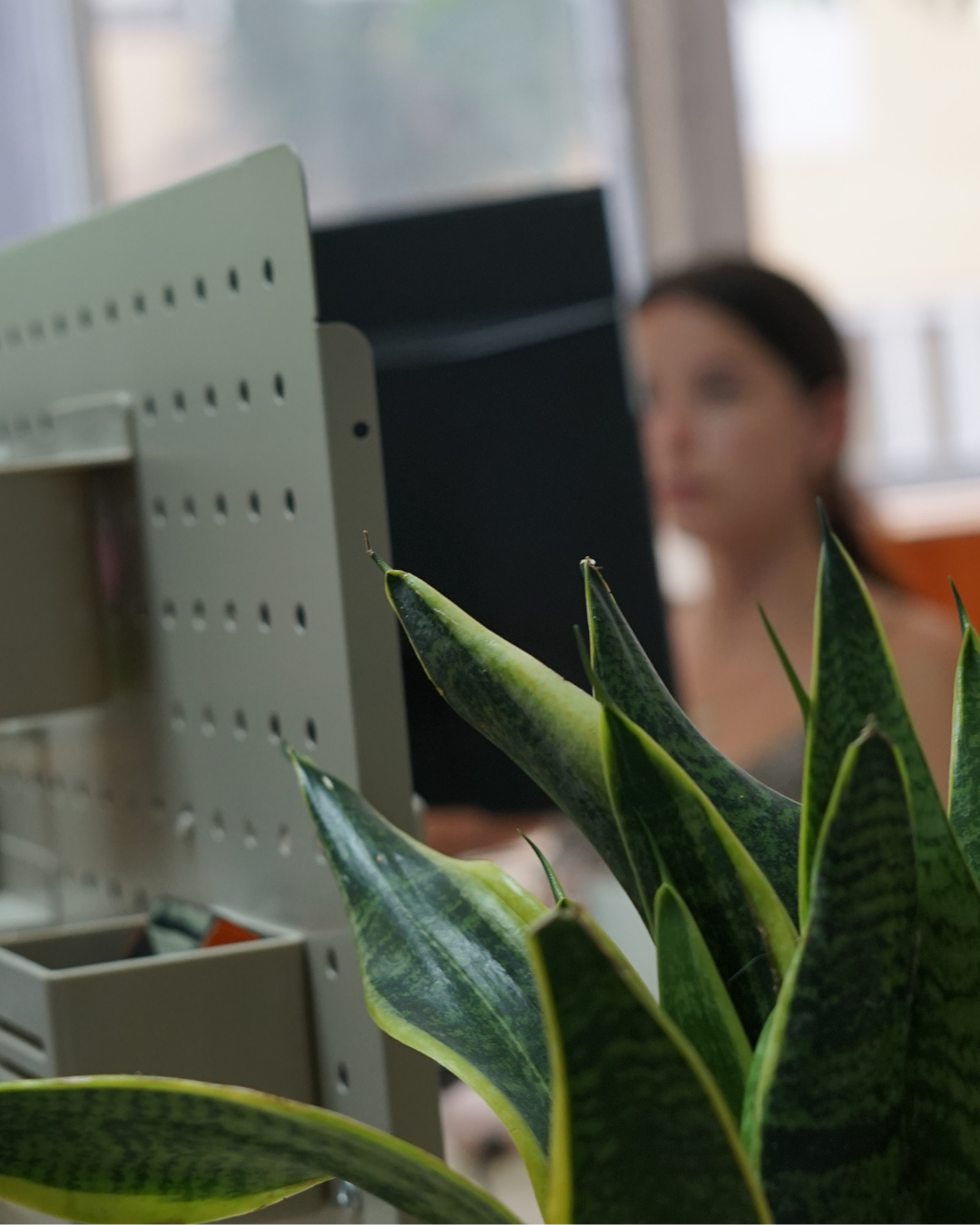 Home remote worker works at nas coworking las palmas